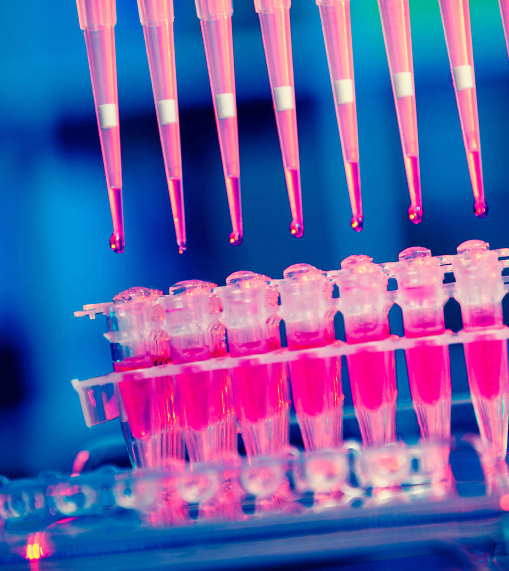An Interview with Gil Shklarski, CTO of Flatiron Health