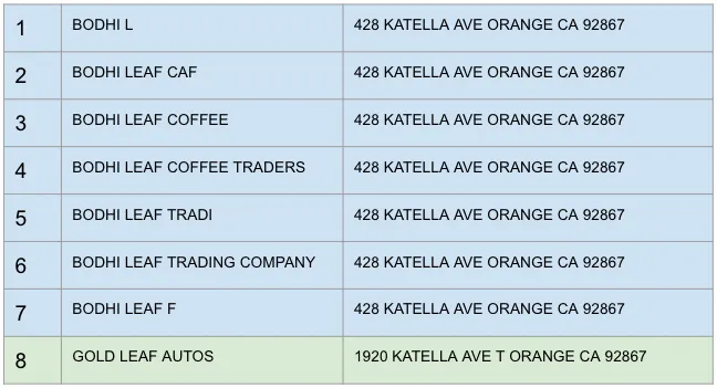List of seven aliases for “Bodi Leaf” coffee company in blue; entry for “Gold Leaf Autos” appears in green at spot #8